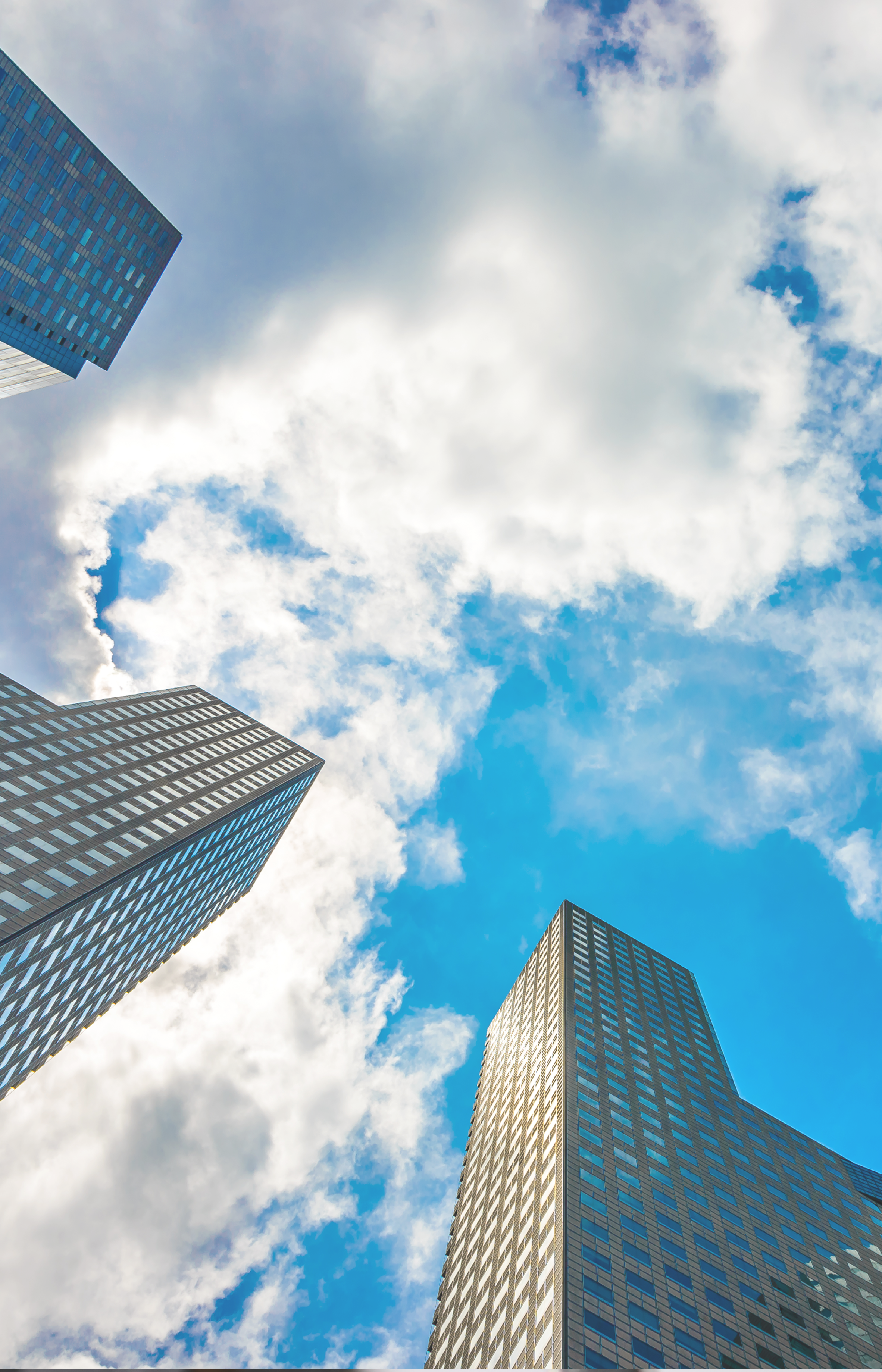 Ｚ＆Ｑ株式会社